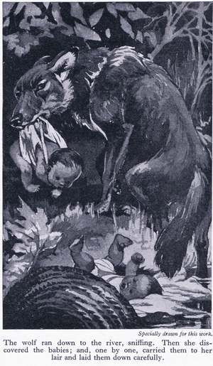 The wolf ran down to the river sniffing and carried the babies to her lair, c.1950 (litho)