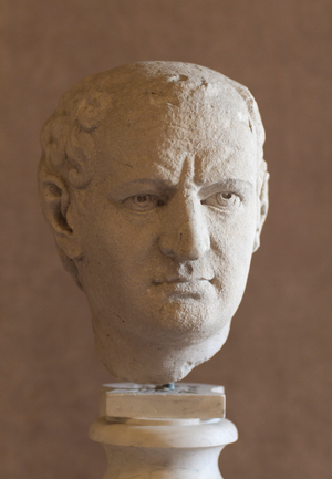 Portrait of Vespasian, Mattei collection (marble)