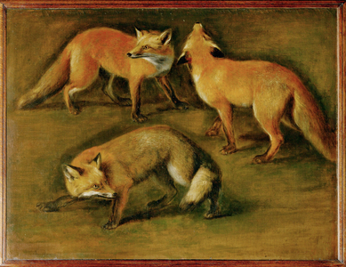 A fox (painting on canvas)