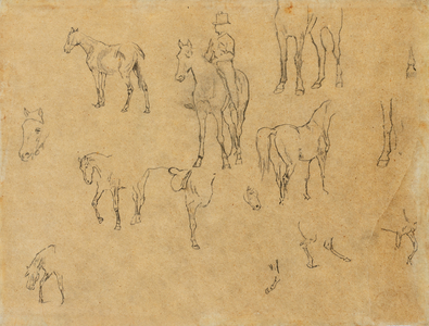 Study of horses and rider (pencil on tracing paper)