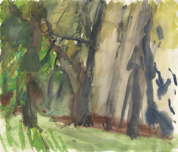 Garden and wetland, 2013 (watercolour and pencil on paper)