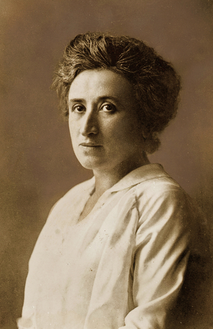 Rosa Luxemburg, c.1911 (sepia print)