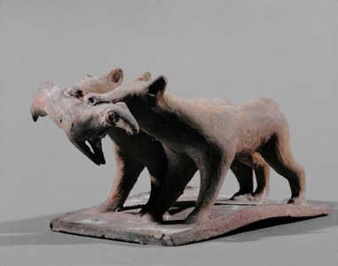 Two wolves tearing at a ram …