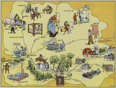 Maine-Anjou-Touraine (colour litho)