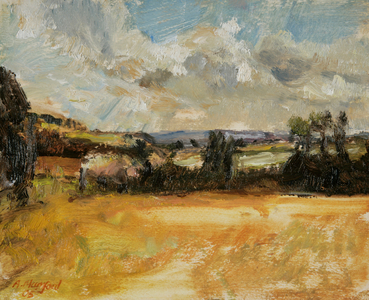 Polgrean Field, 2005 (oil on canvas)