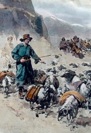 Sven Hedin acting as a shepherd