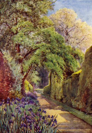 The Iris Border (colour litho)