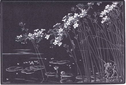 Baldmoney and Sneezewort continue the journey on foot, illustration from Little Grey Men published by Methuen, 1974 (litho)