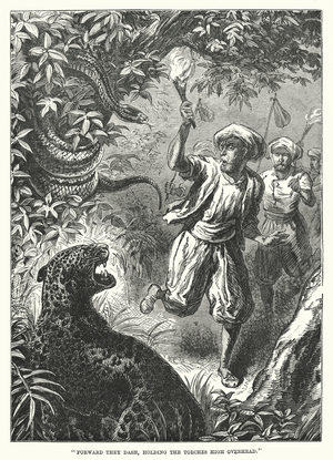 "Forward they dash, holding the torches high overhead" (engraving)