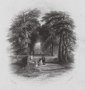 Gardens of Versailles (engraving)