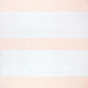 Untitled #6, 1995 (acrylic and graphite on canvas)