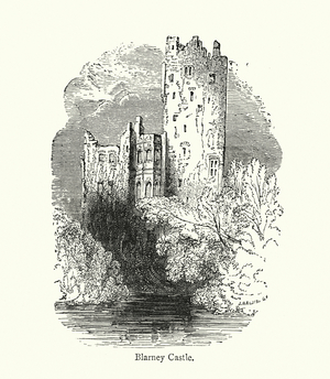 Blarney Castle (engraving)