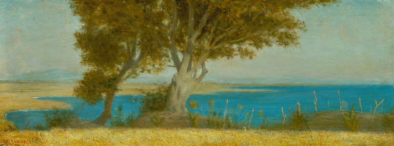 Marina di Castiglioncello, 1864 (oil on board)
