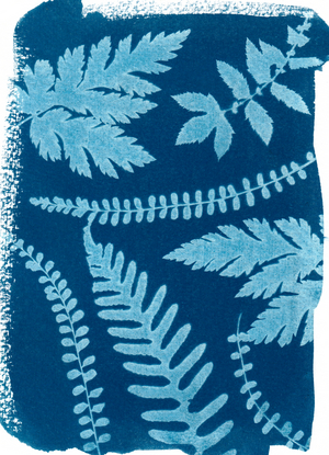 Mountain_147, 2023 (cyanotype)