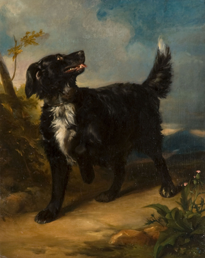 Hirsel' (oil on canvas)