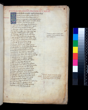 Ms 303. Virgil, Opera with commentary, f.1r. Decorated initial [T] with pink and yellow vine-stem decoration, 15th Century (parchment)