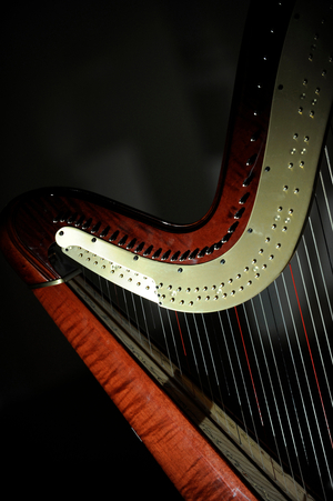 Harp detail