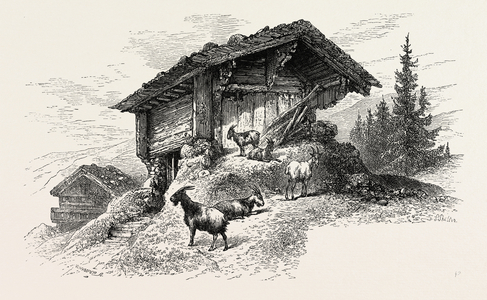 Mountain Chalet, Switzerland, 19th Century Engraving