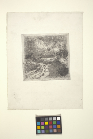 Turf Field (etching)