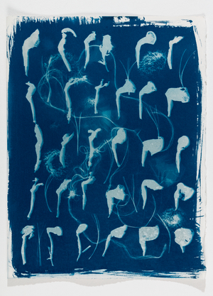 Out of the Blue 20, 2020 (cyanotype)