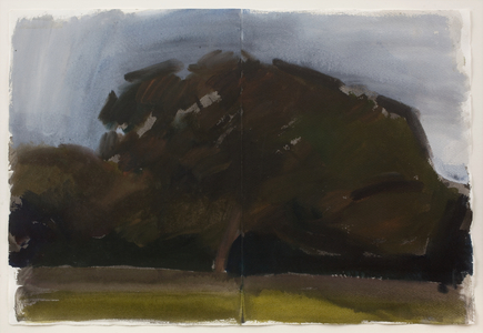 Forét de Landévennec , 1985 (watercolour)