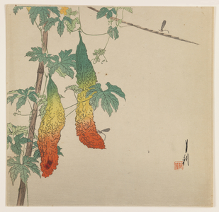 Gourds and Wasp, c.1890-1910 (woodblock colour print)
