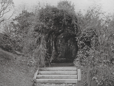 Pentillie Castle, Cornwall (b/w photo)