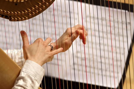 Harpist Hands