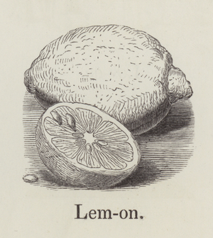 Lemon (engraving)