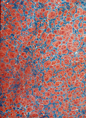 19th Century marbled endpaper