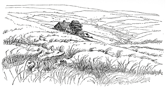 Landscape of Wuthering Heights, 19th century (engraving)