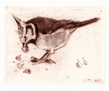 Berries (Grenadier), 2010 (drypoint)