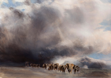 Elephant through the storm, 2015 (oil on canvas)