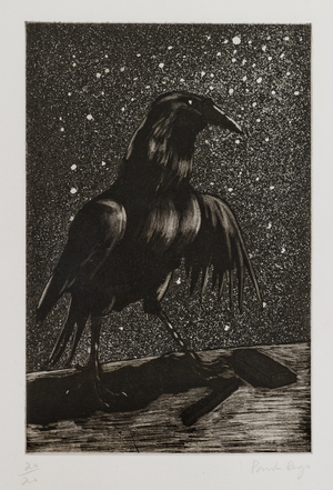 The night crow, 1992 (Etching on hand-made  paper)