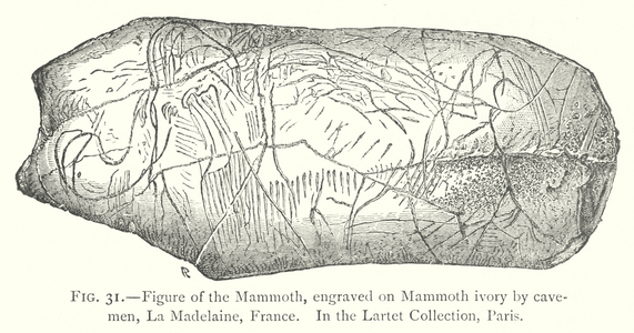 Figure of the Mammoth, engraved on Mammoth ivory by cavemen, La Madelaine, France (litho)