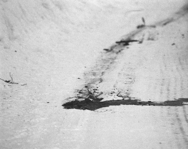 Lunner February 22, 1981. Blood in the snow on the forest road in Lunner shows where …, 1981 (photo)