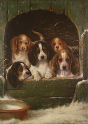 'As snug as a bug in a rug' (oil on canvas)