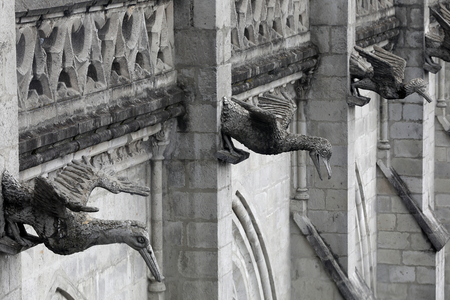 Basilica of the National Vow (Spanish: Bas’lica del Voto Nacional), Roman Catholic church located in the historic center of Quito, Ecuador. Gargoyles(photography)