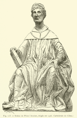 Statue de Pline l'Ancien, erigee en 1498, Cathedrale de Come (engraving)