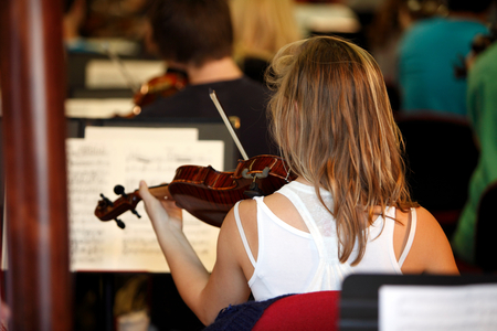 Musician playing the violin