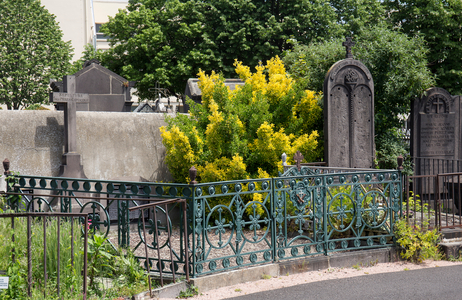 Clermont-Ferrand Cemetery, 2016 (photograph)