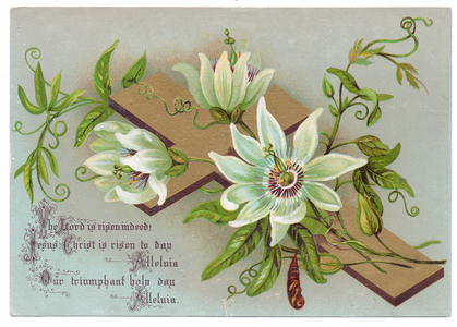A Victorian religious greeting card of a cross decorated with white magnolias, c.1880 (colour litho)