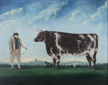 A Farmer and His Prize Heifer, c.1844 (oil on canvas)