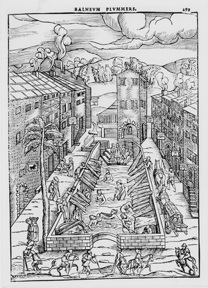 The Baths of Plombiere, woodcut from Thomas Guinta De Balneis omnia ..., Venice, 1553. Mixed public baths were a feature of city life, particularly in many of the German city states, but were banned after syphilis and gonorrhea reached epidemic proportions.