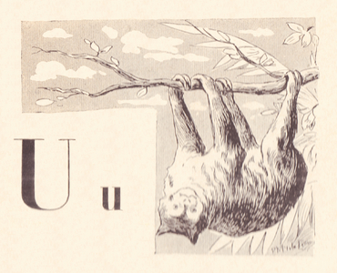 U like Unau,1901 (illustration)