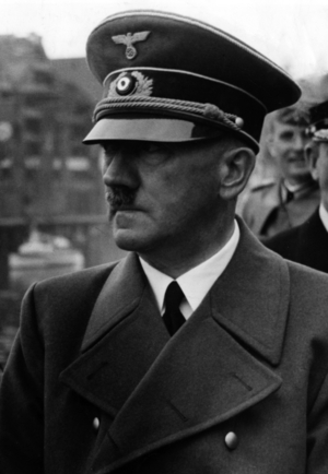 2976305.jpg