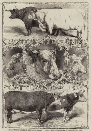 Smithfield Club Cattle Show, 1859 (engraving)