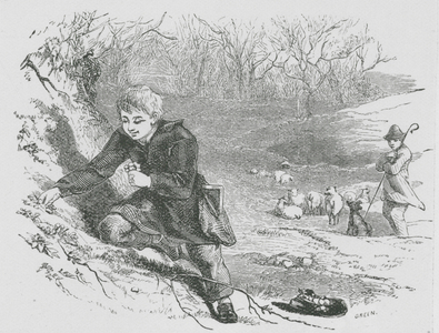 Gathering Primroses (engraving)
