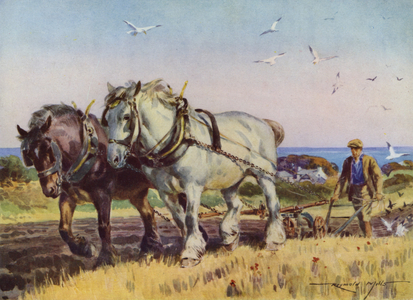 Illustration for My Farm (colour litho)
