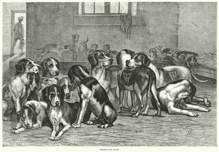 Interieur d'un chenil (engraving)